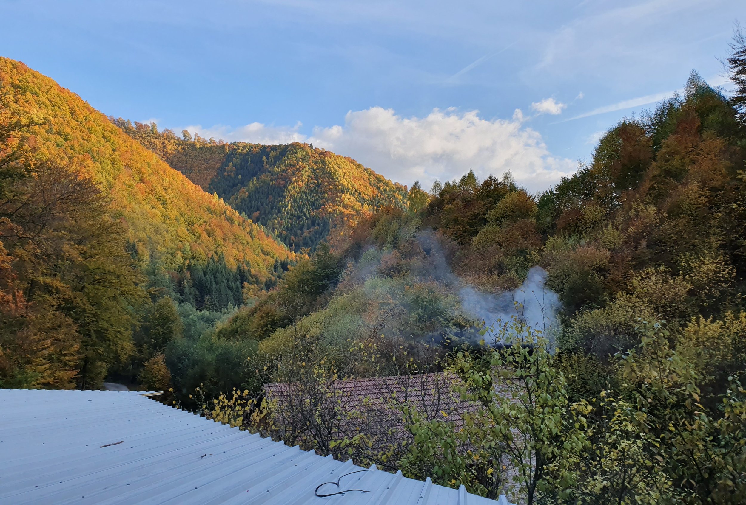 Attending a 10 days Vipassana Meditation Retreat in Lunca Florii, Romania